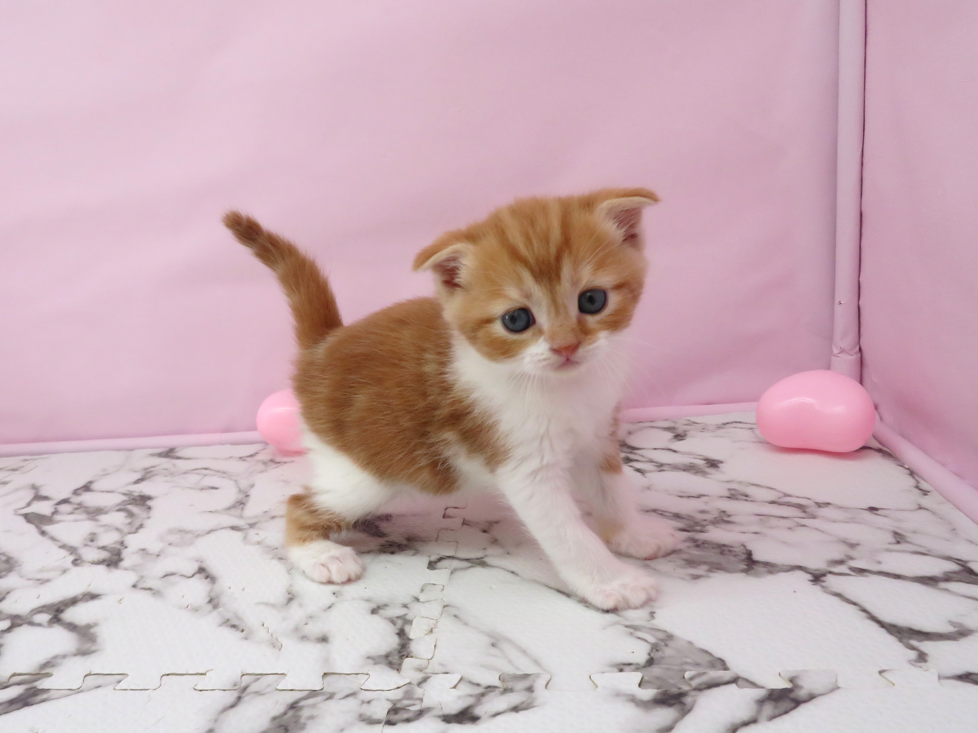 赤ちゃん写真2-2