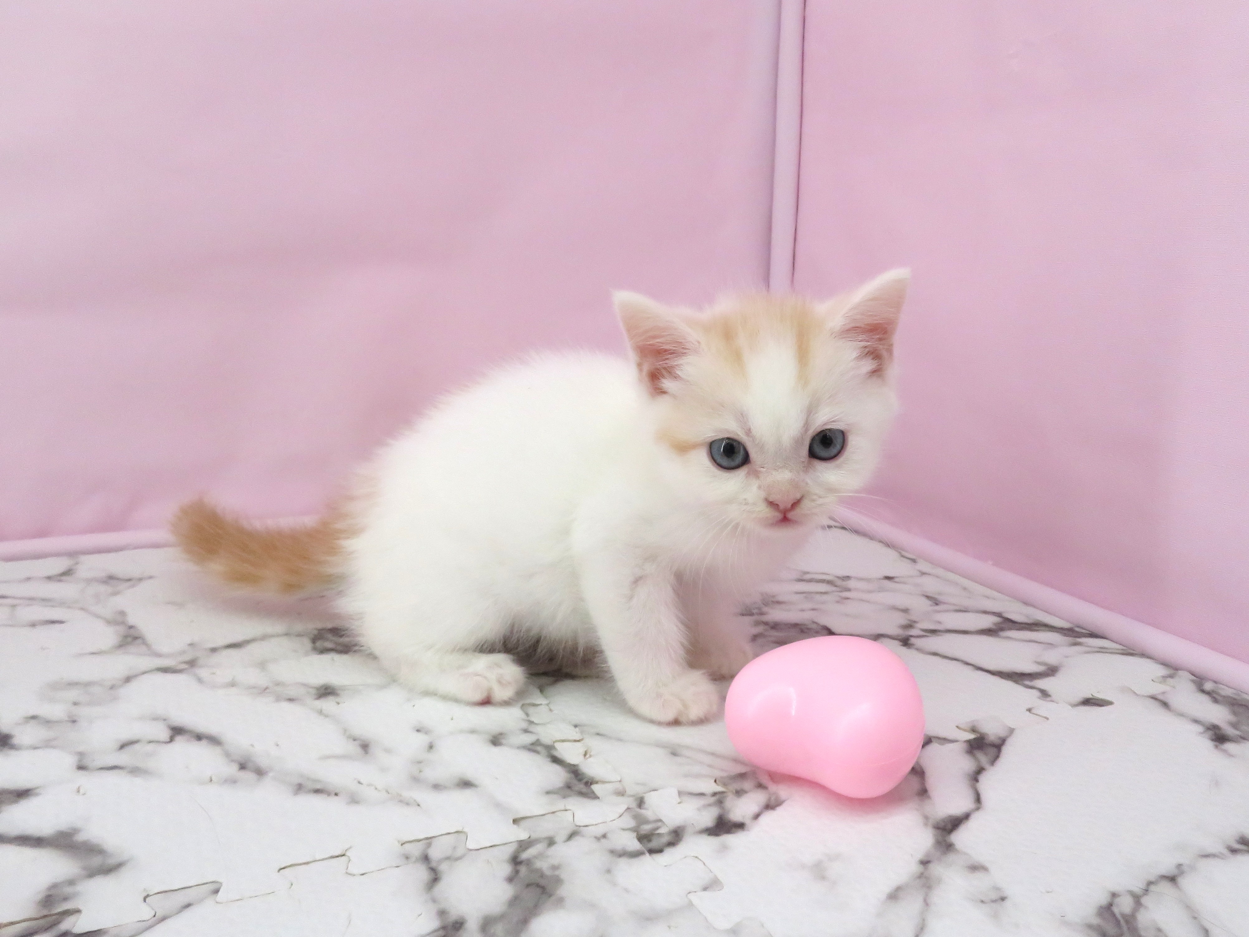 赤ちゃん写真3-2
