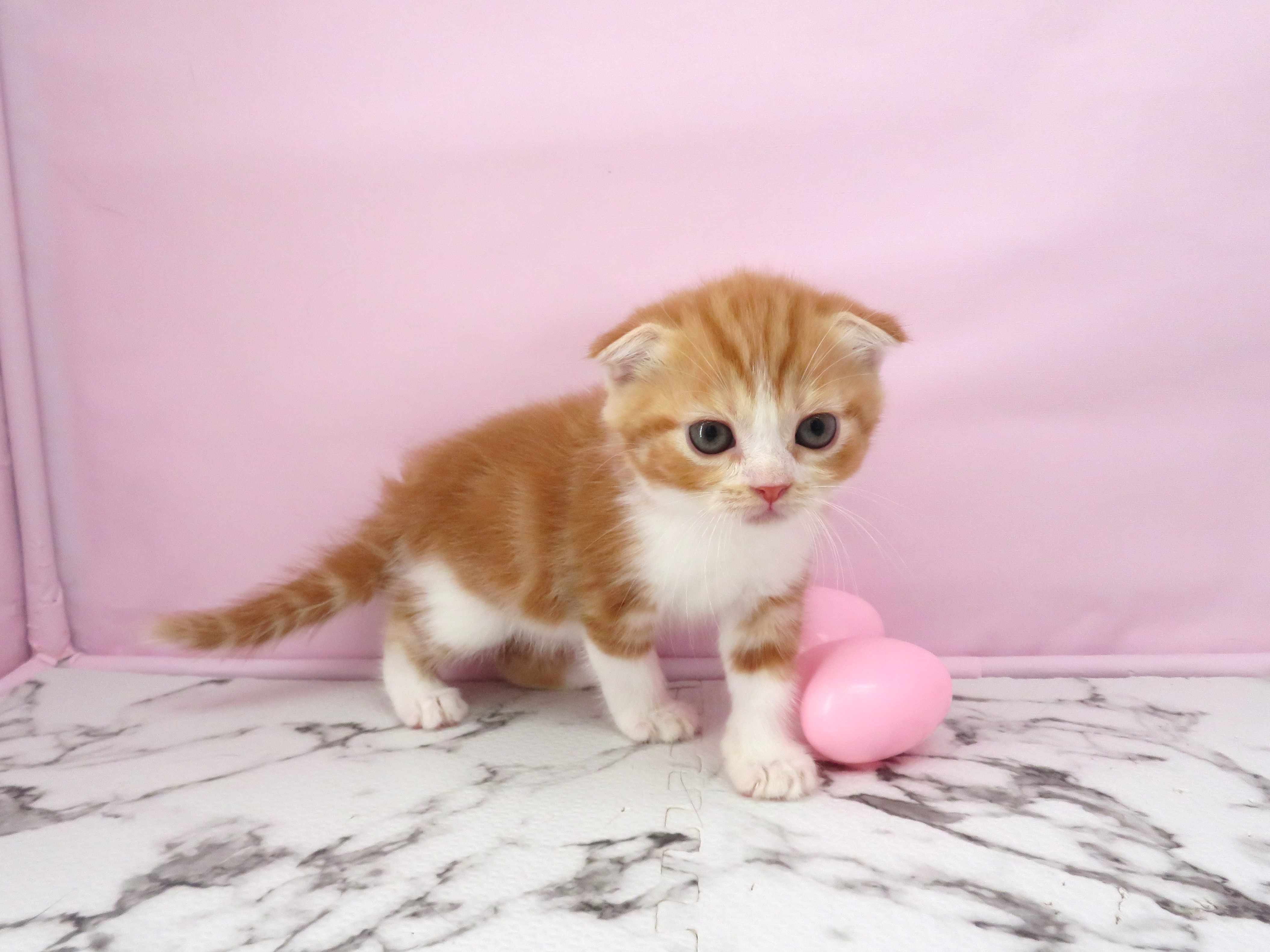 赤ちゃん写真3-2
