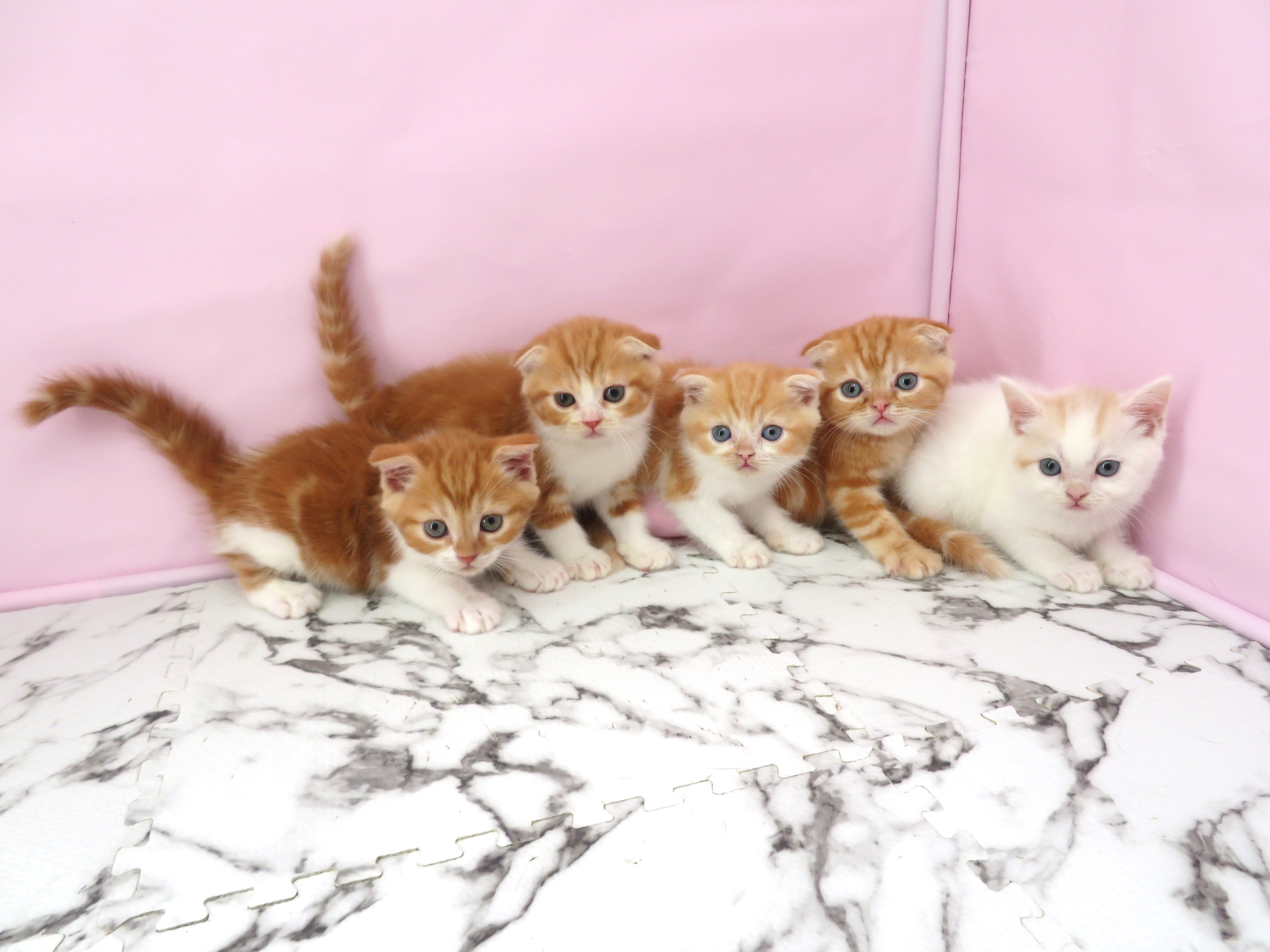 赤ちゃん写真3-3