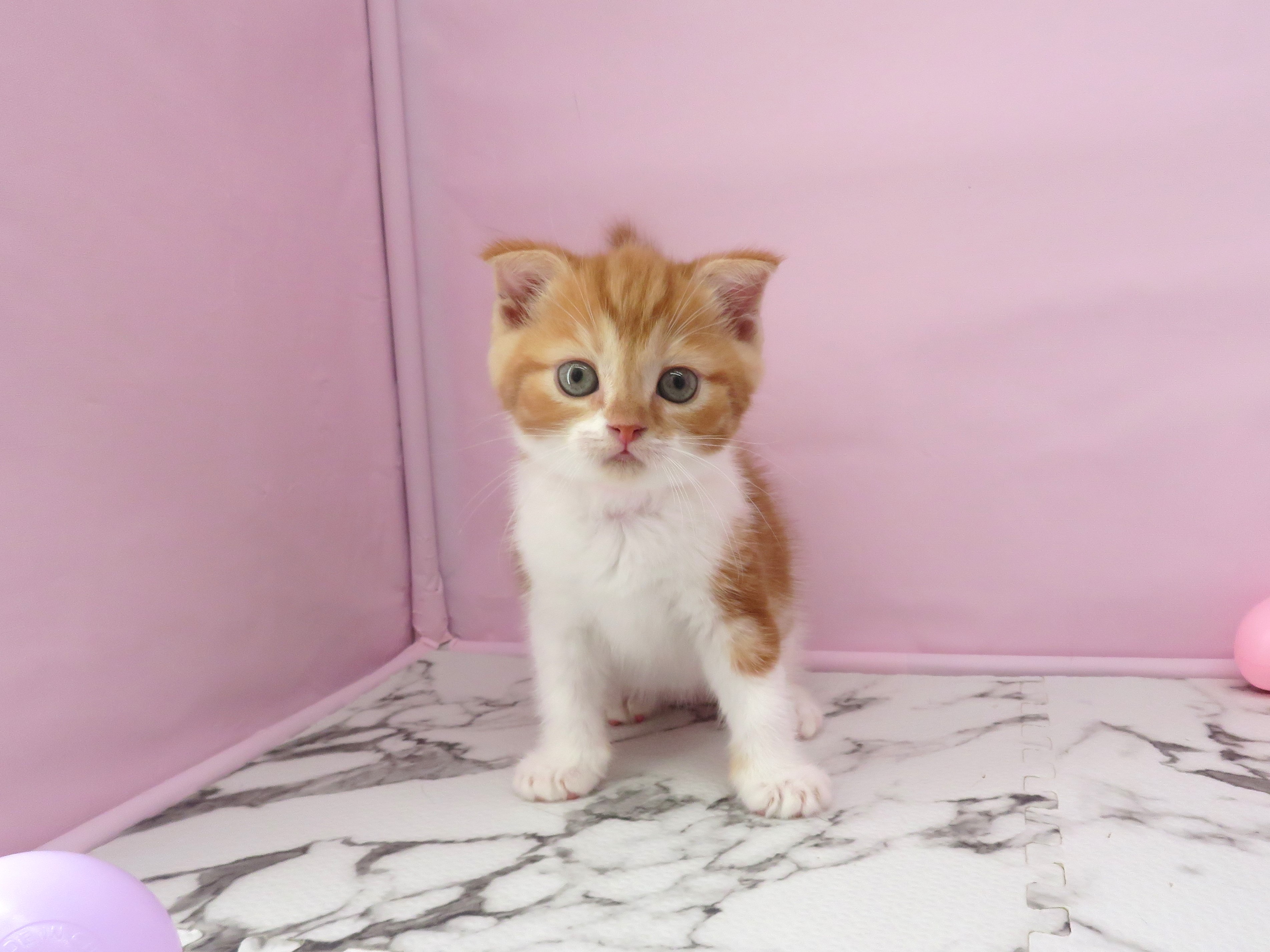 赤ちゃん写真3-1