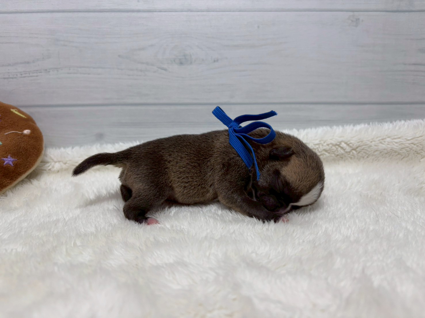 赤ちゃん写真1-2