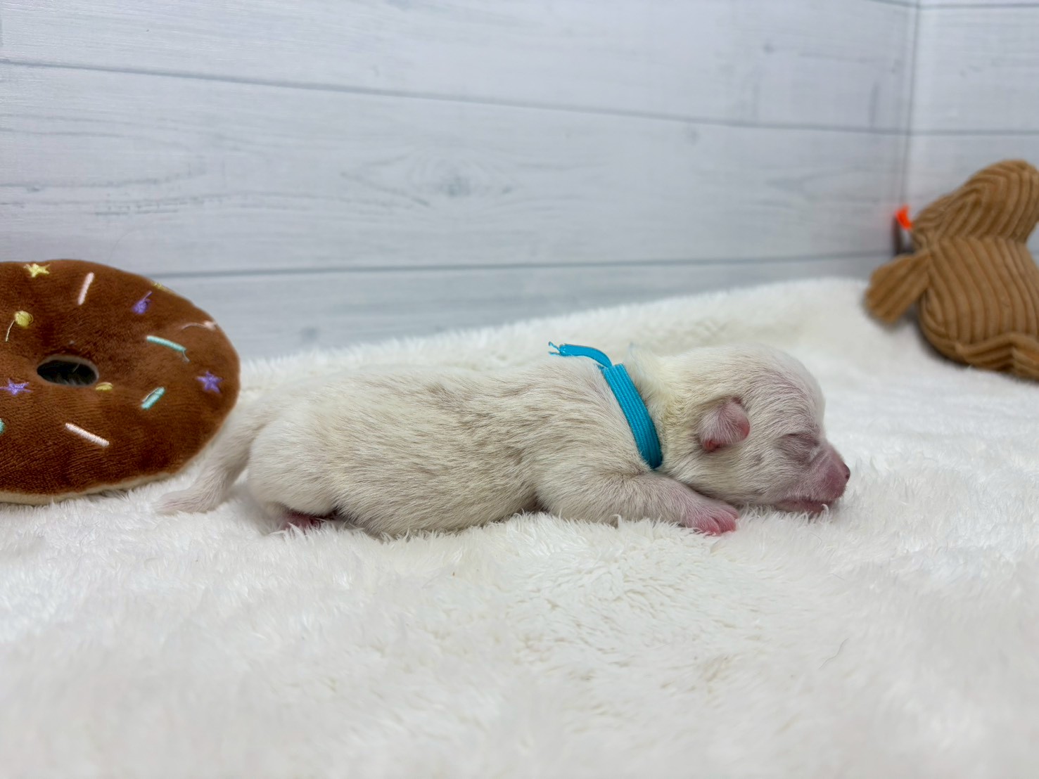 赤ちゃん写真1-2