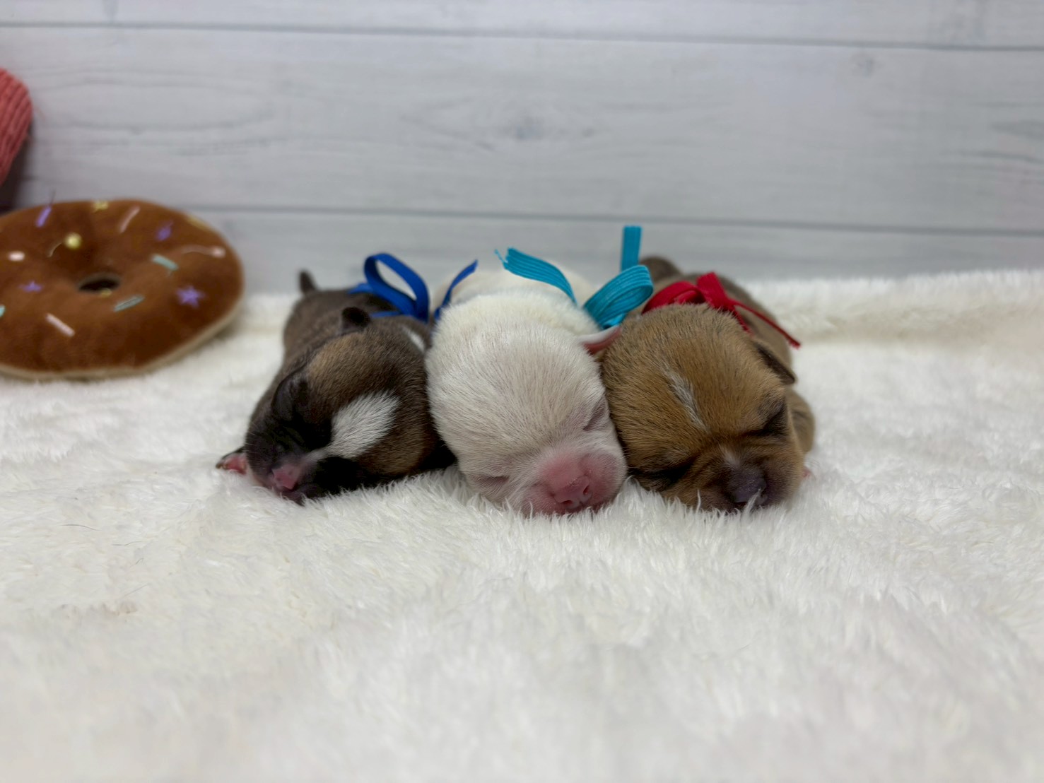 赤ちゃん写真1-3