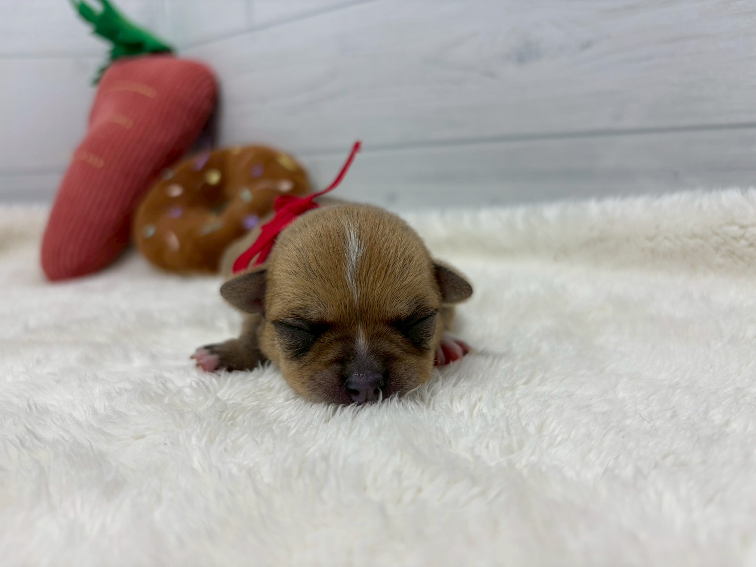 赤ちゃん写真1-1