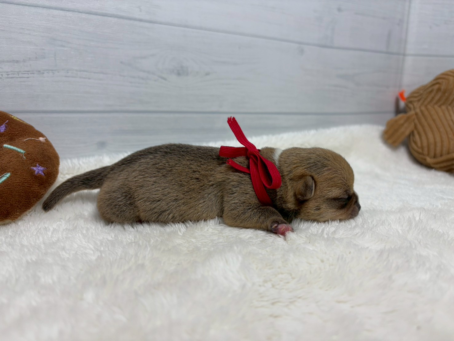 赤ちゃん写真1-2