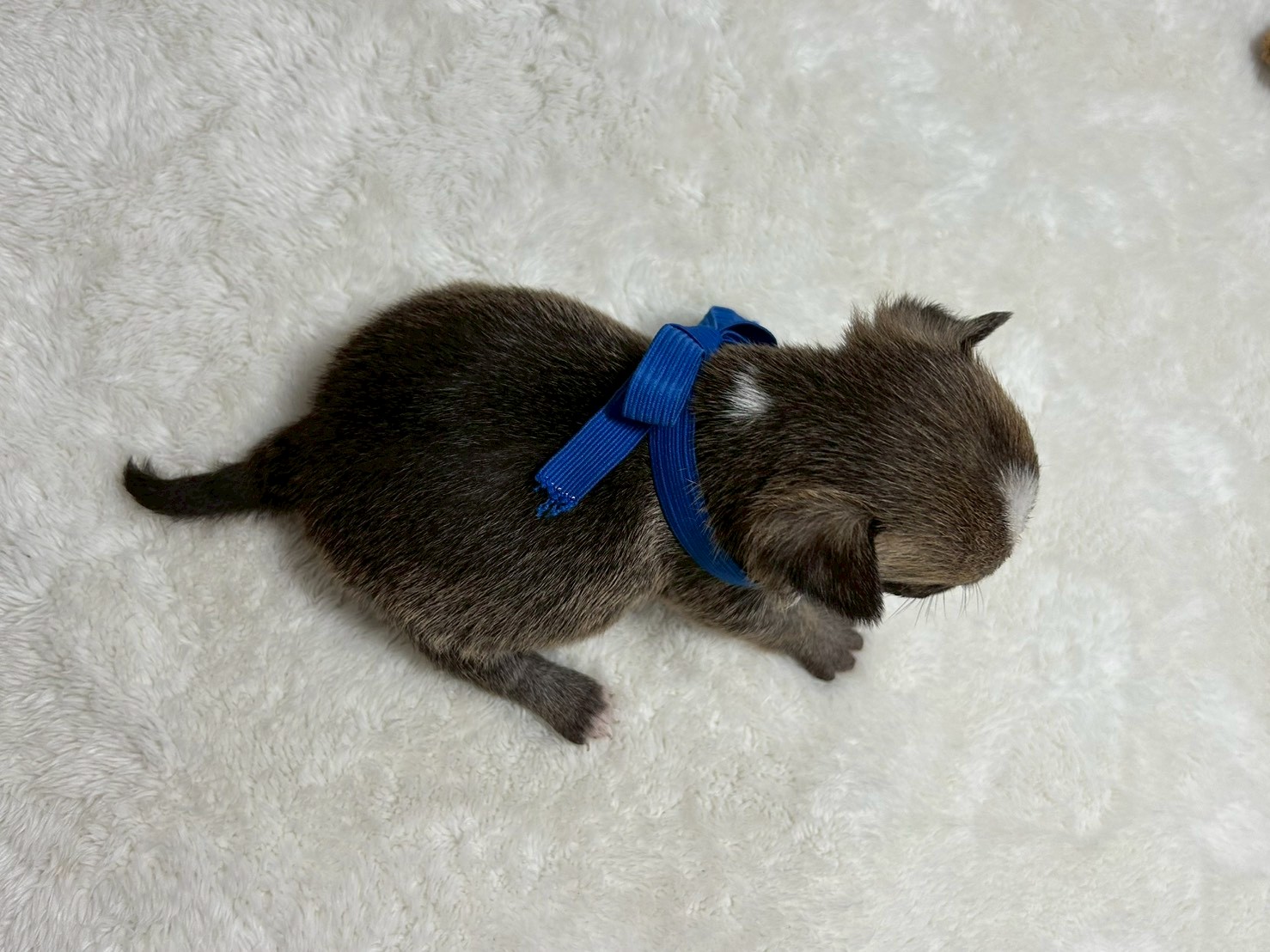 赤ちゃん写真2-3