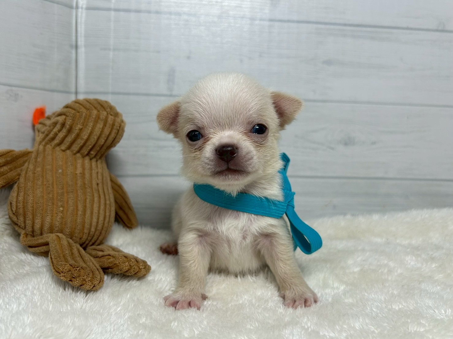 赤ちゃん写真2-1