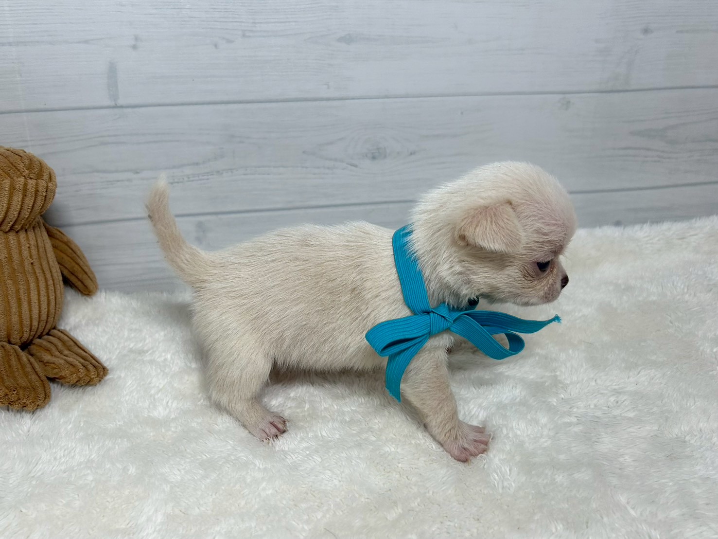 赤ちゃん写真2-2