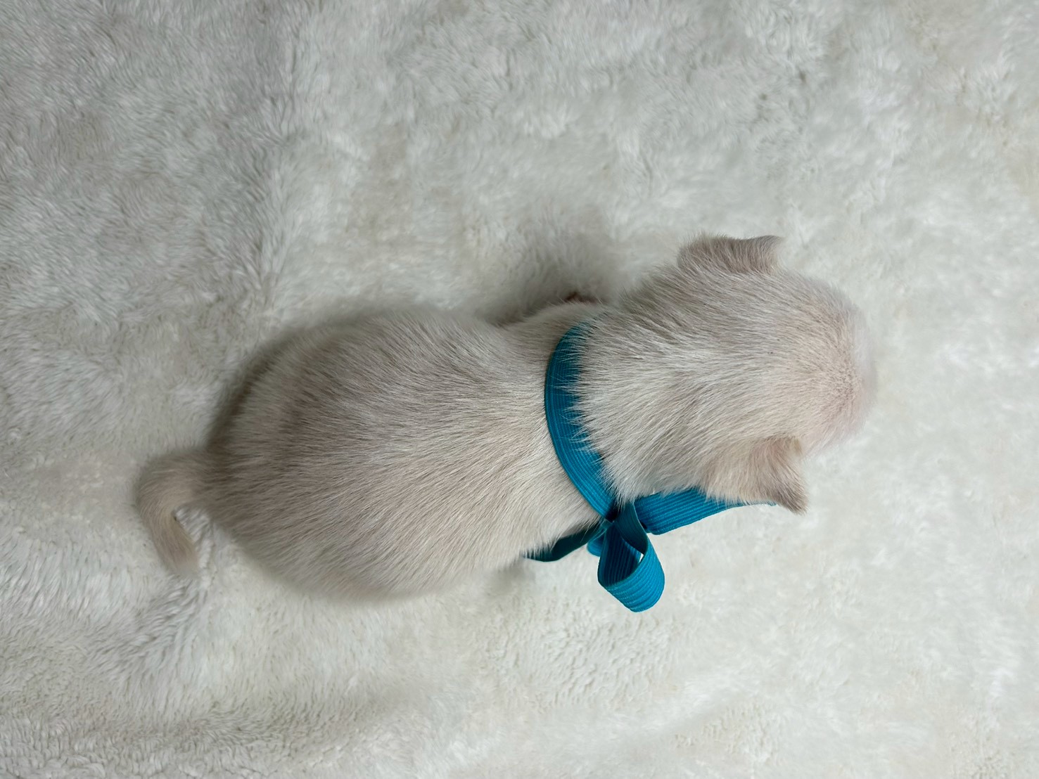 赤ちゃん写真2-3