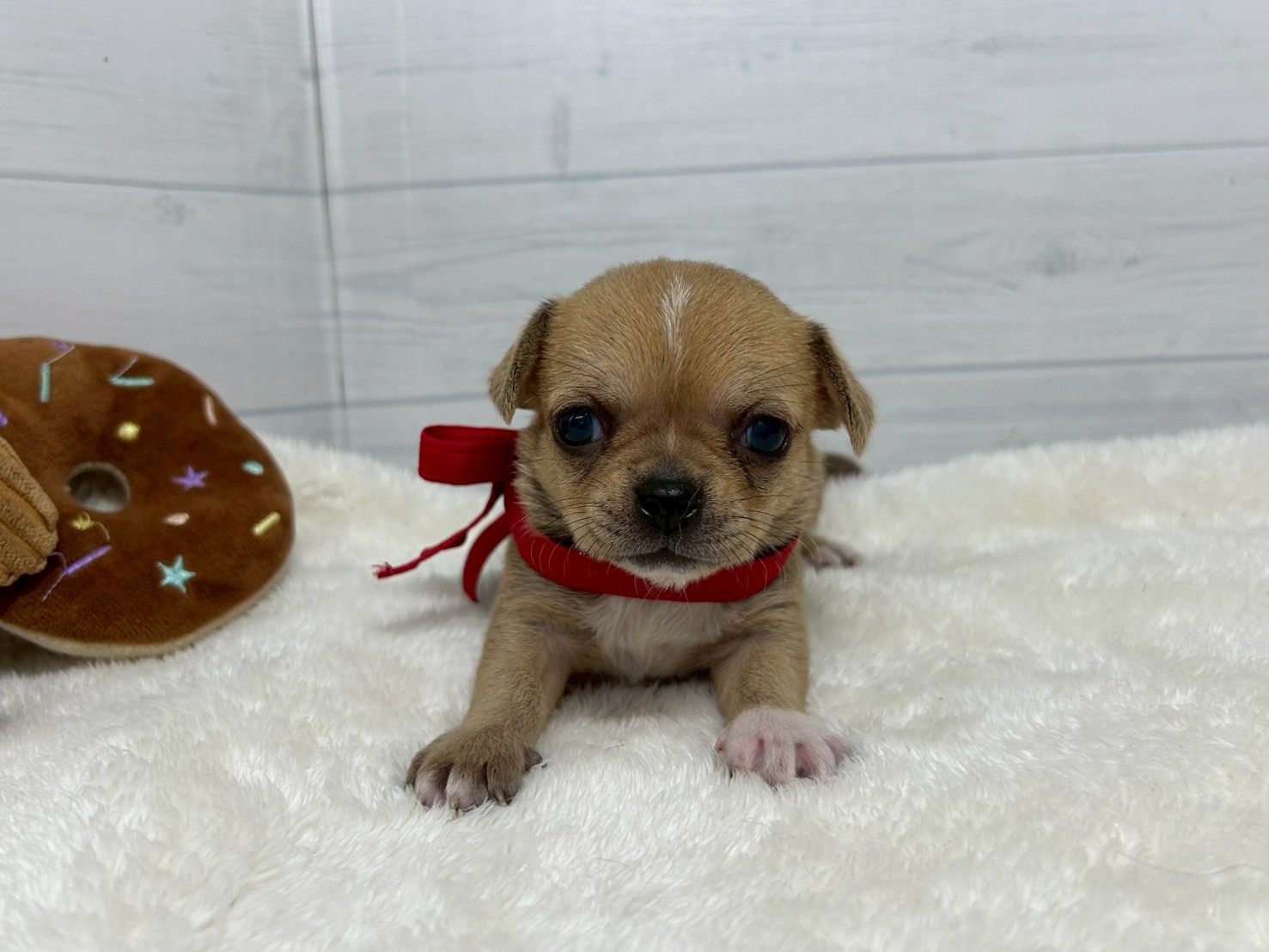 赤ちゃん写真2-1