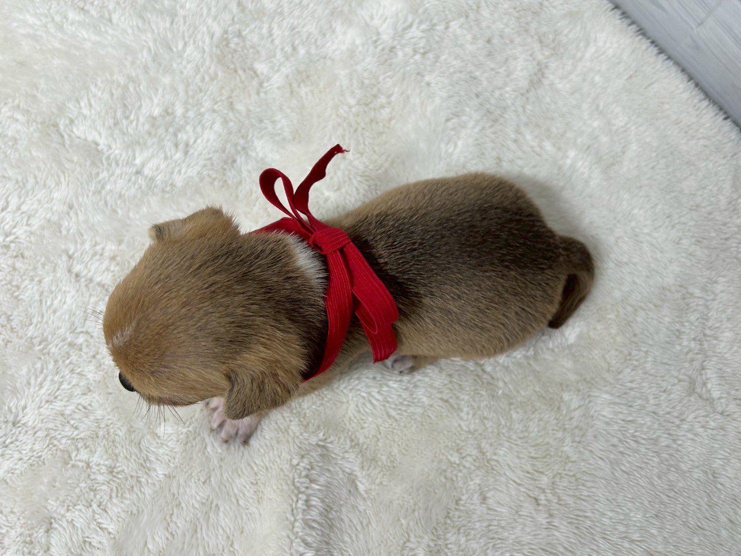 赤ちゃん写真2-3