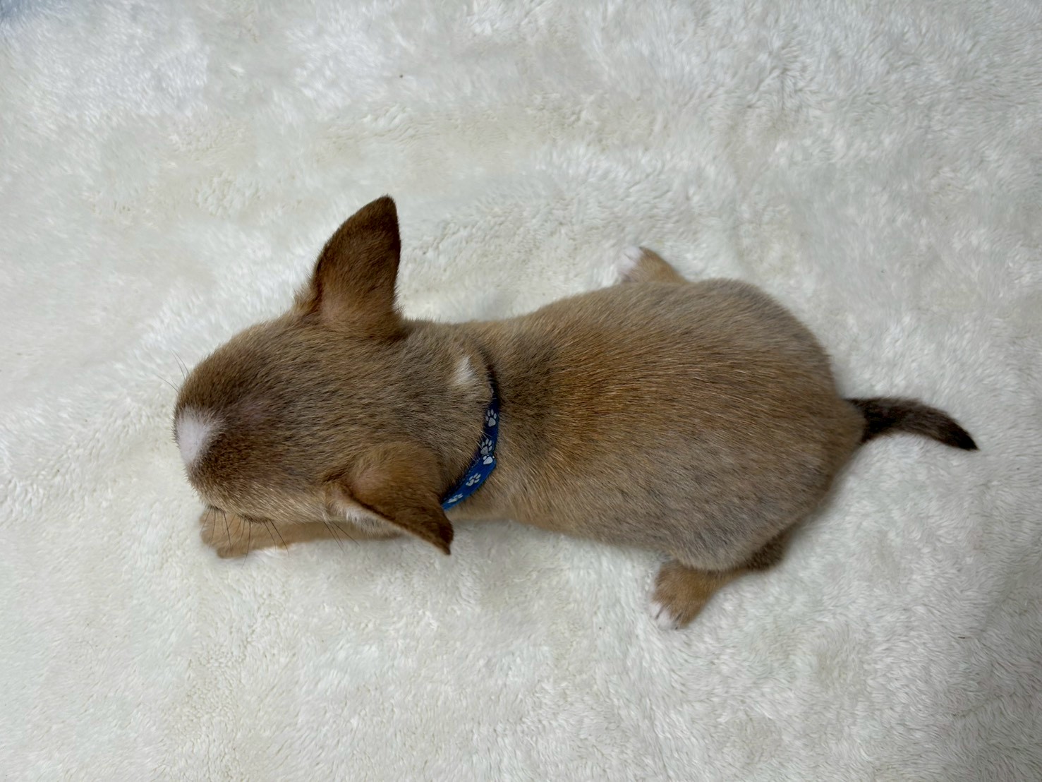 赤ちゃん写真3-3