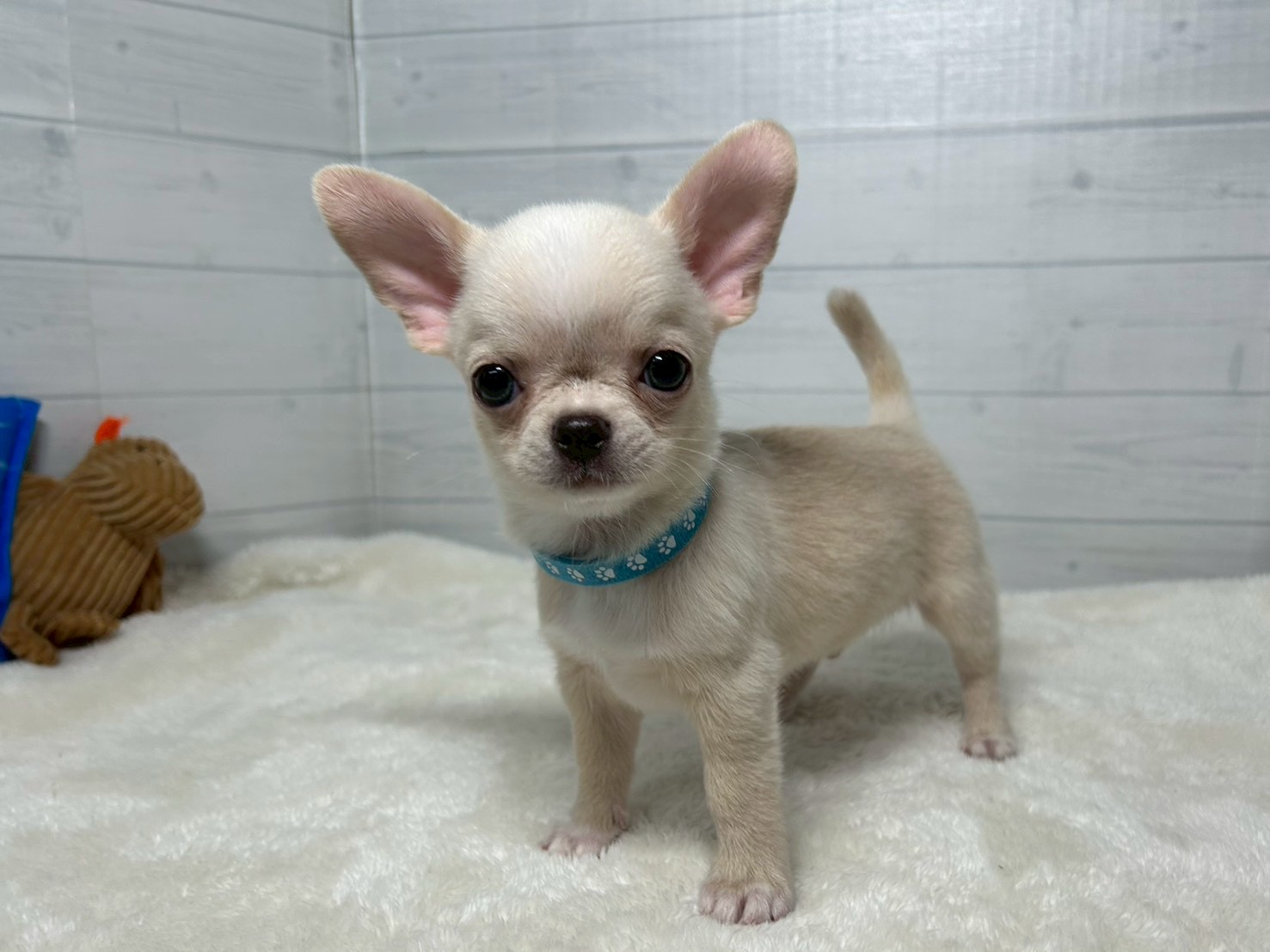 赤ちゃん写真3-1