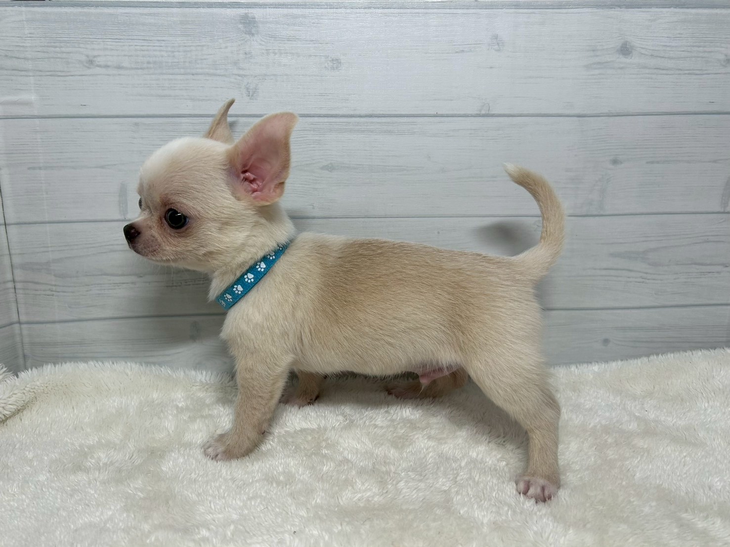 赤ちゃん写真3-2