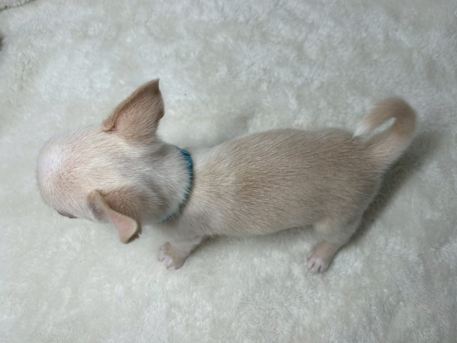 赤ちゃん写真3-3