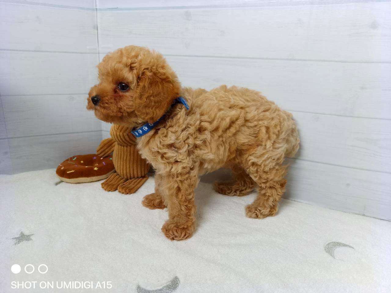 赤ちゃん写真2-2