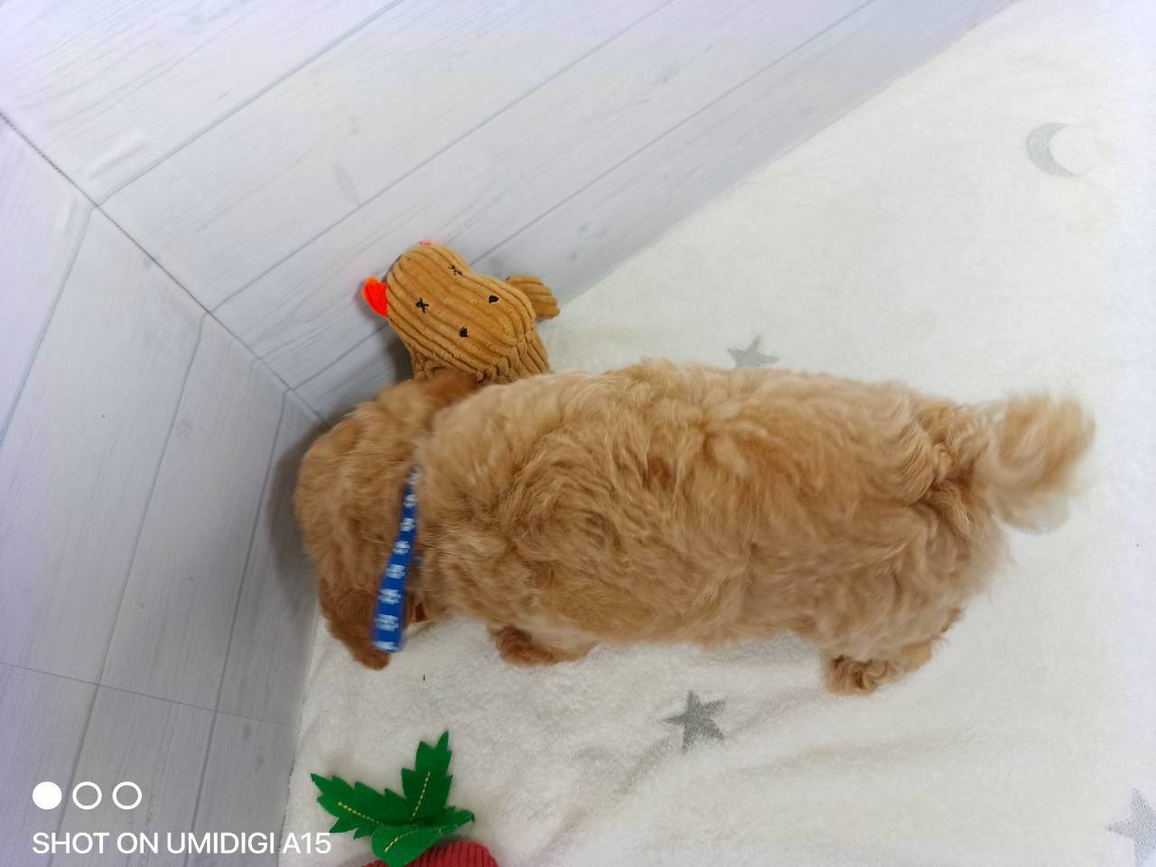赤ちゃん写真2-3