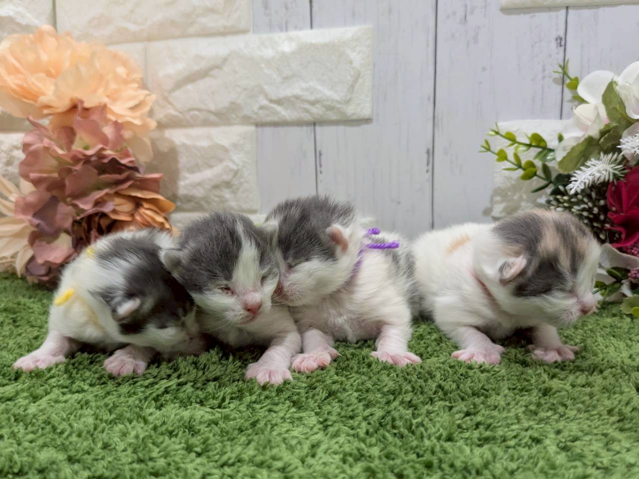 赤ちゃん写真1-3