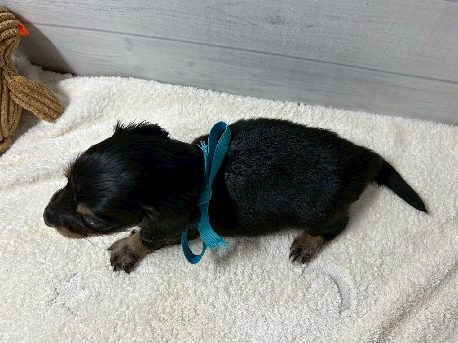 赤ちゃん写真2-3