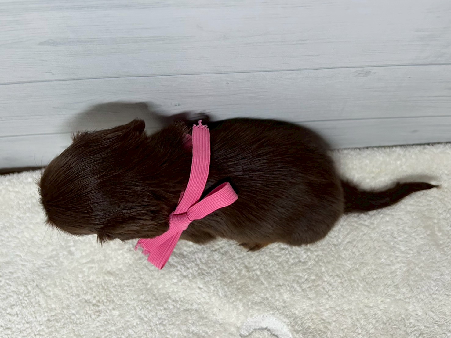 赤ちゃん写真2-3