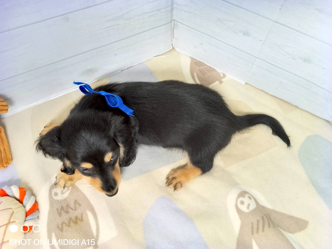 赤ちゃん写真3-3