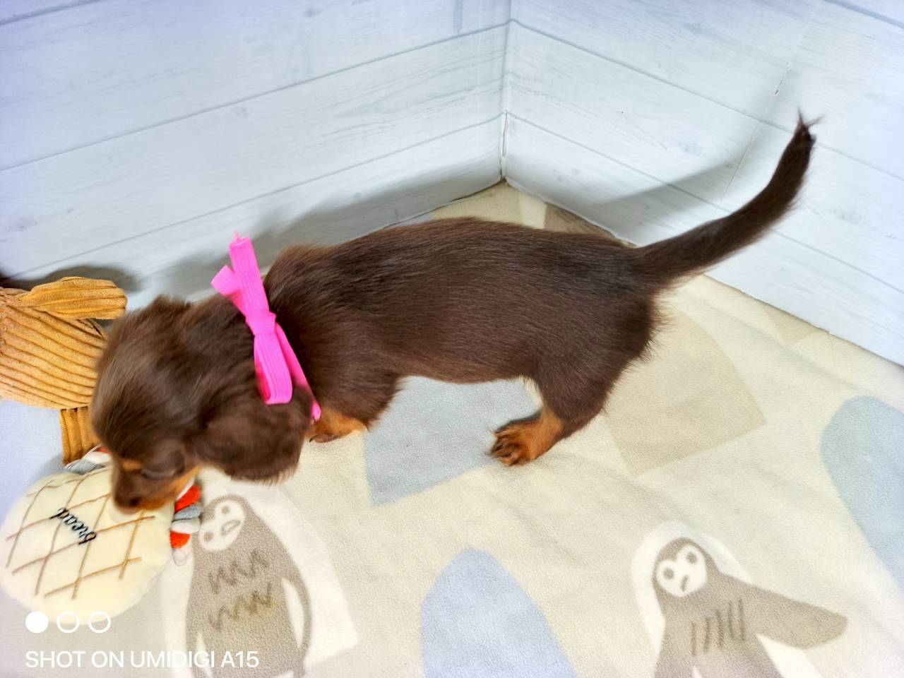 赤ちゃん写真3-3