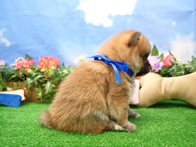 赤ちゃん写真2-2