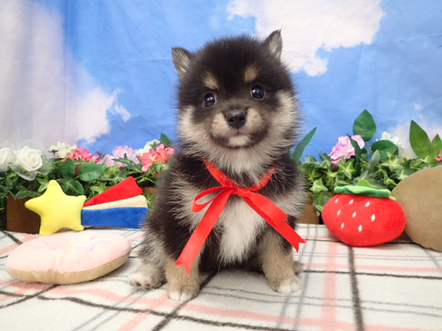 赤ちゃん写真3-1