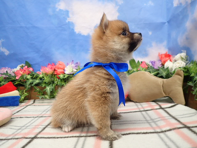 赤ちゃん写真3-2