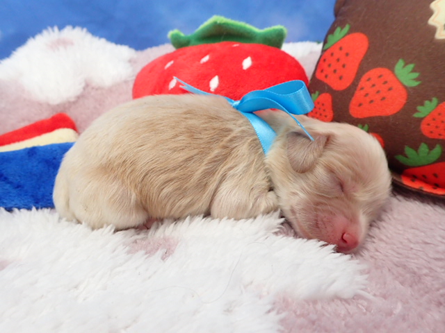 赤ちゃん写真1-2