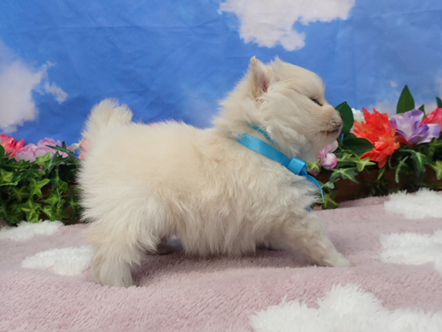 赤ちゃん写真2-2