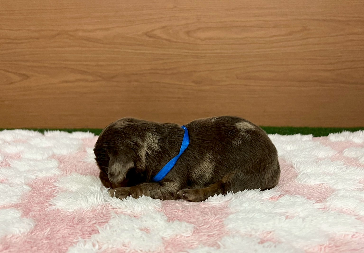 赤ちゃん写真1-2