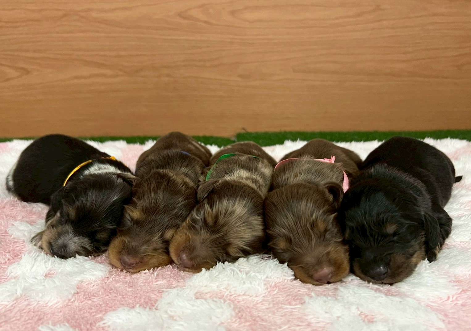 赤ちゃん写真1-3