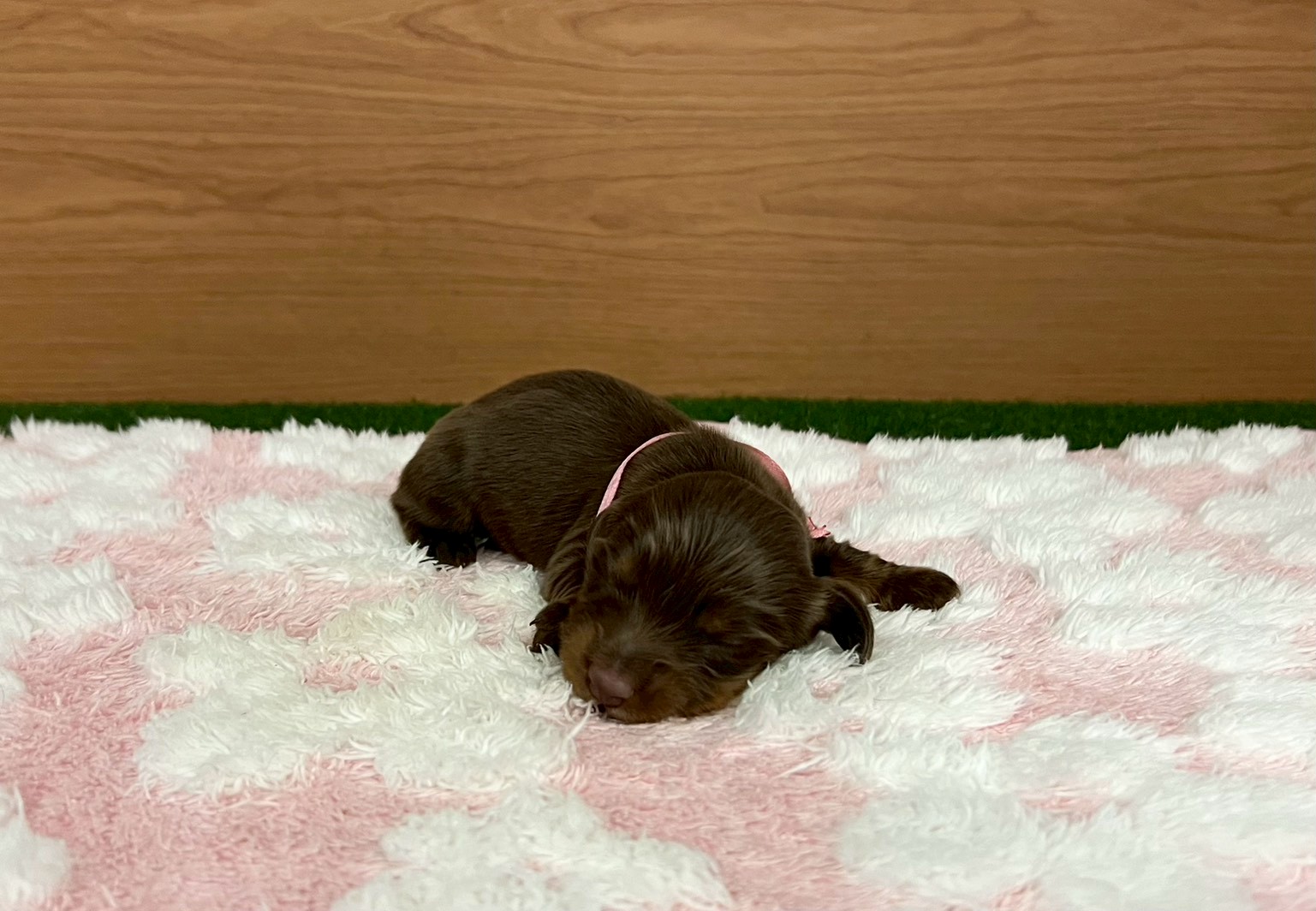 赤ちゃん写真1-1