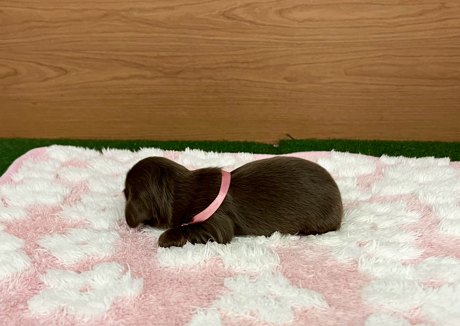 赤ちゃん写真1-2