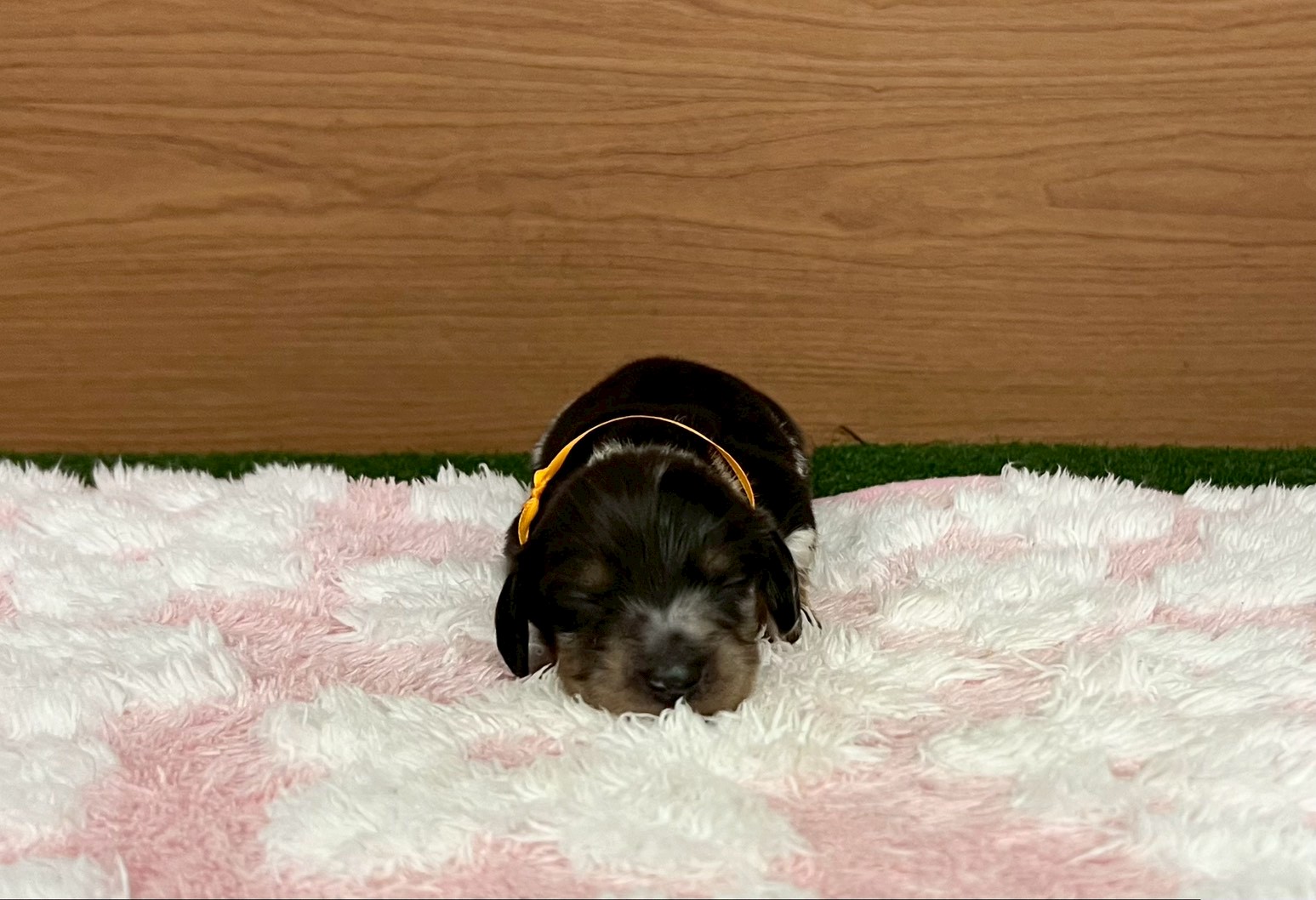 赤ちゃん写真1-1