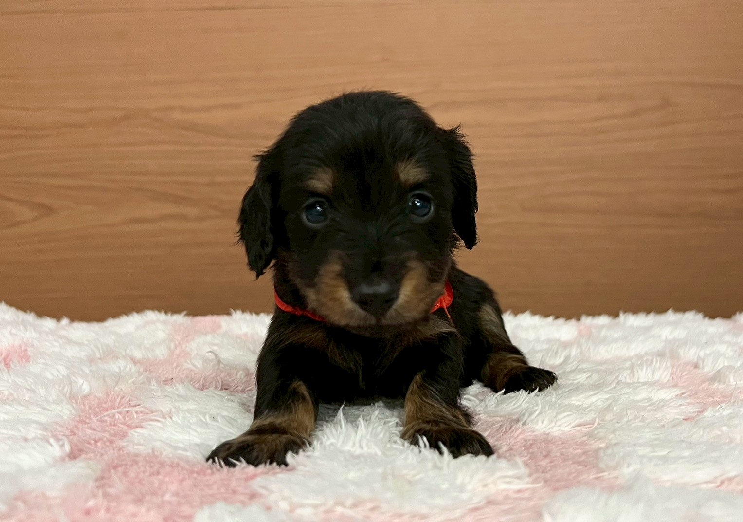 赤ちゃん写真2-1