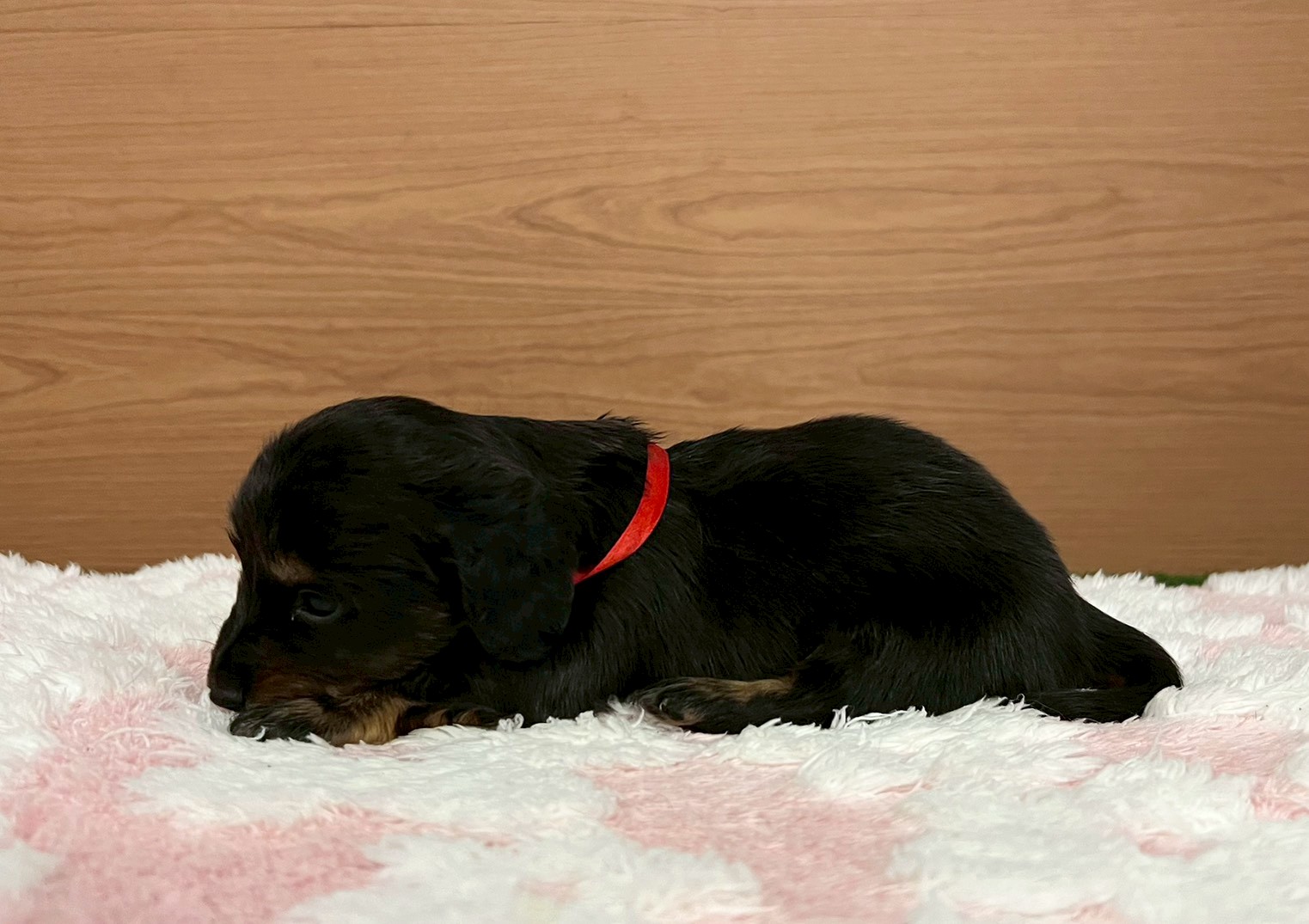 赤ちゃん写真2-2