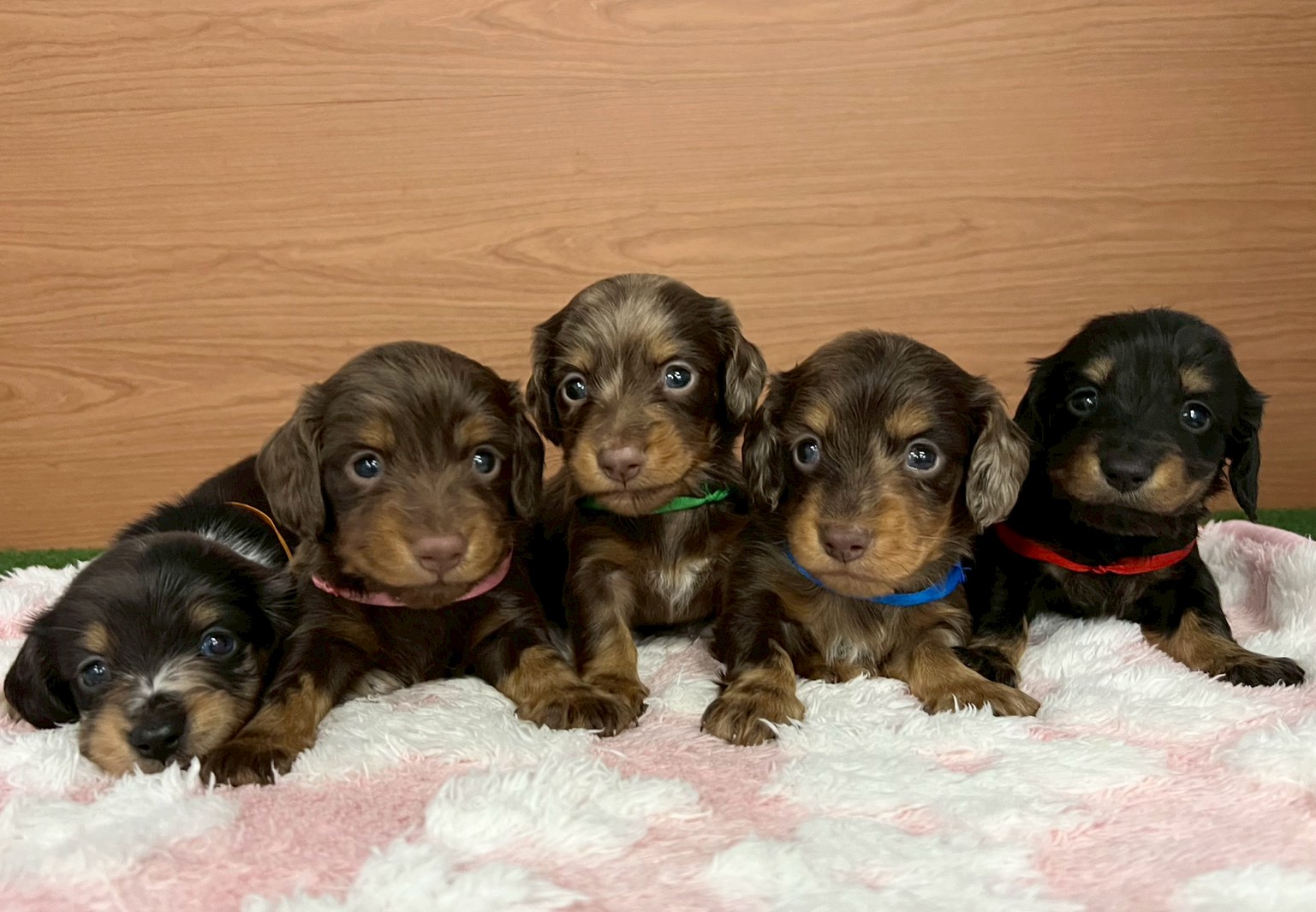 赤ちゃん写真2-3