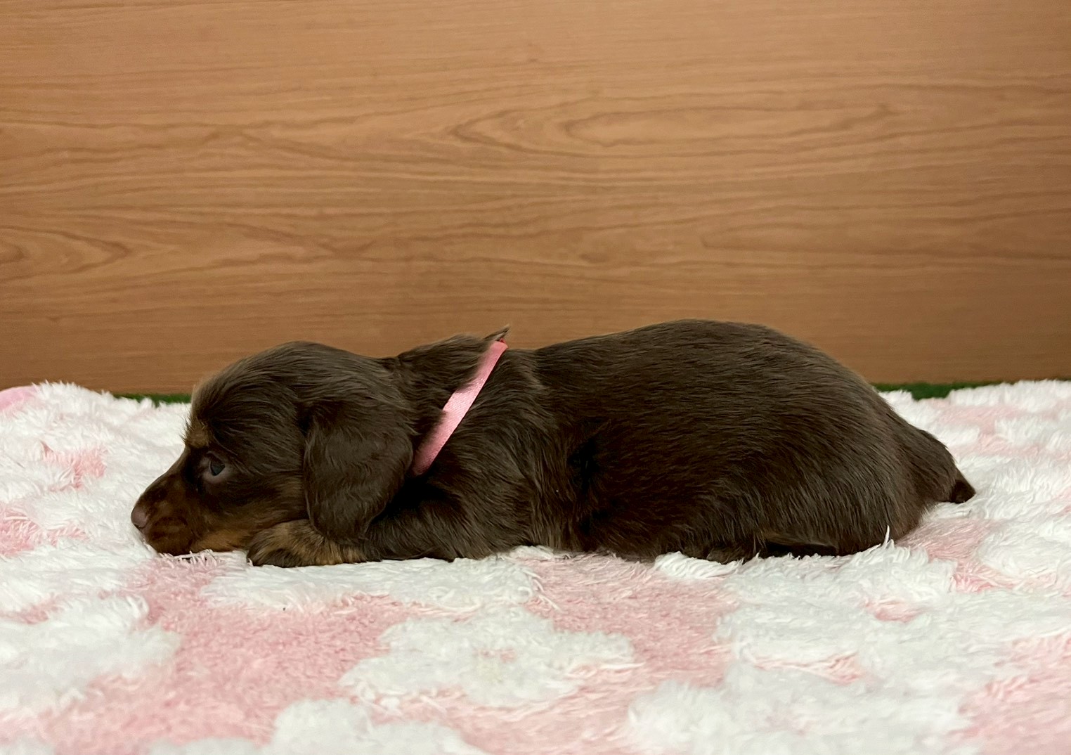 赤ちゃん写真2-2