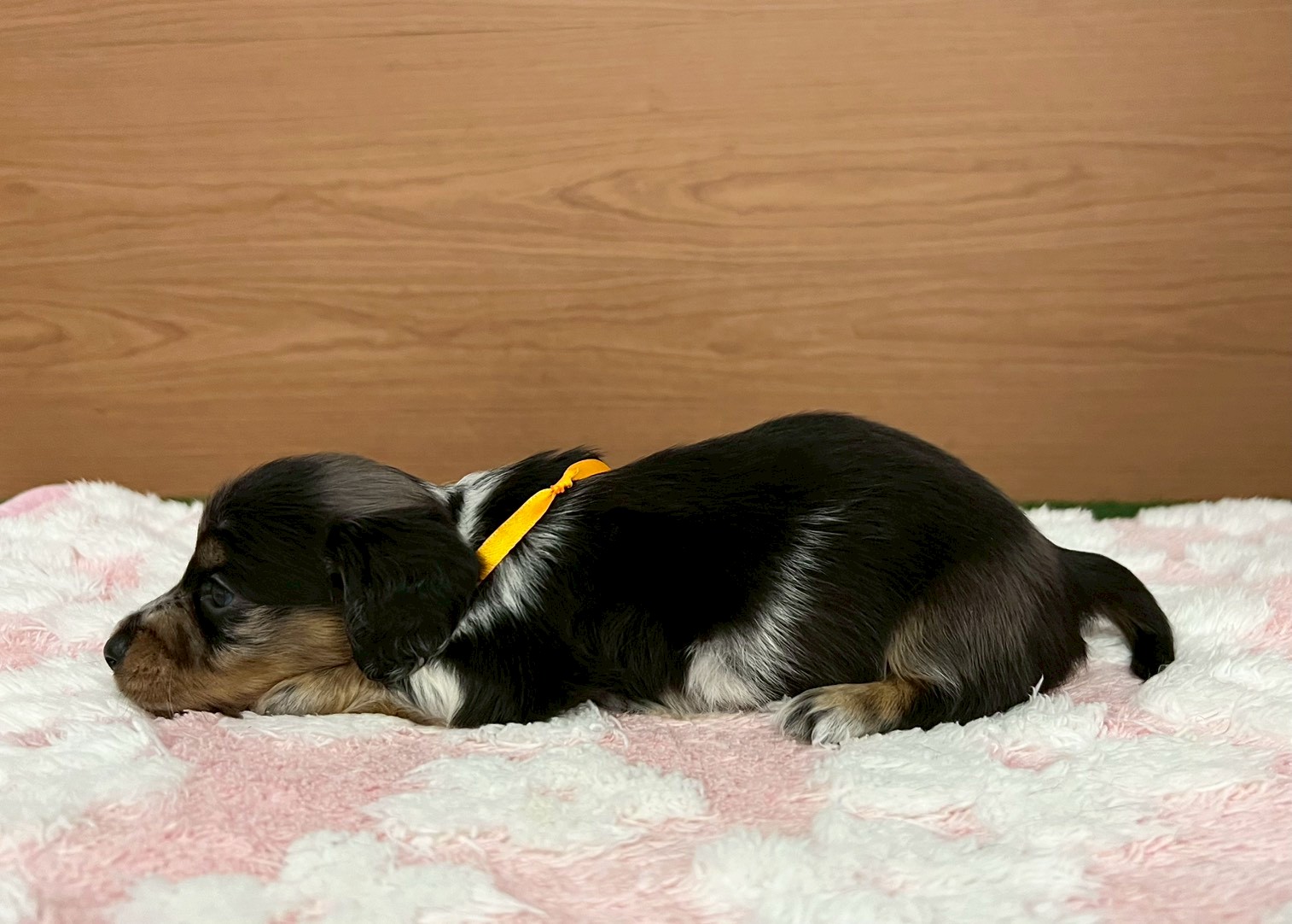 赤ちゃん写真2-2