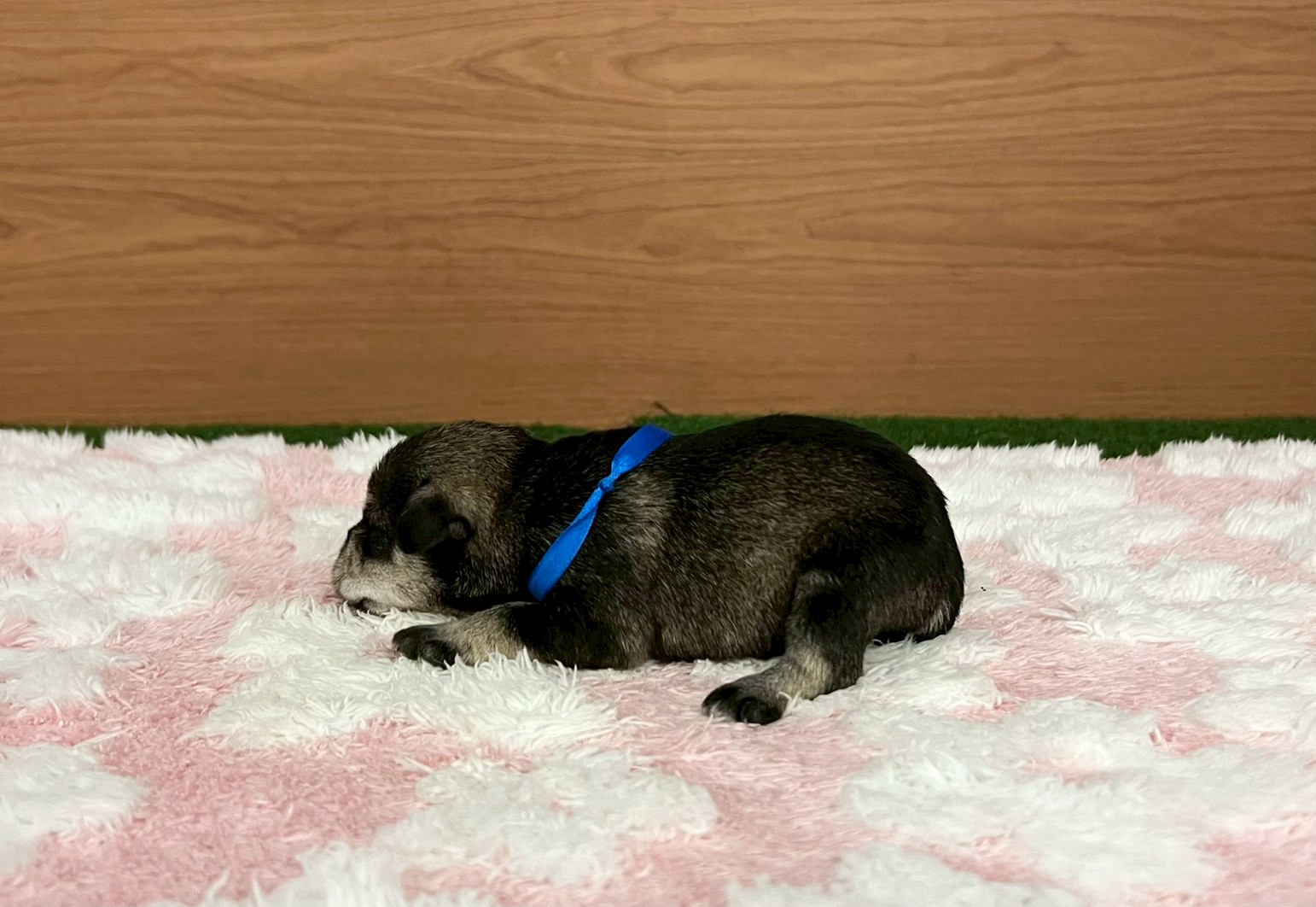 赤ちゃん写真1-2