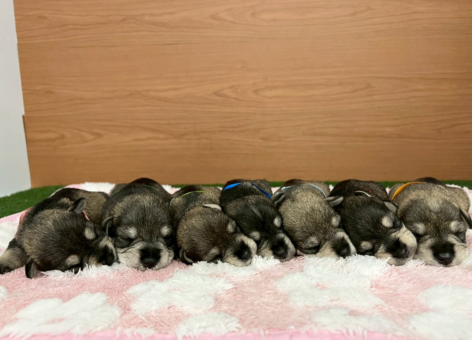 赤ちゃん写真1-3