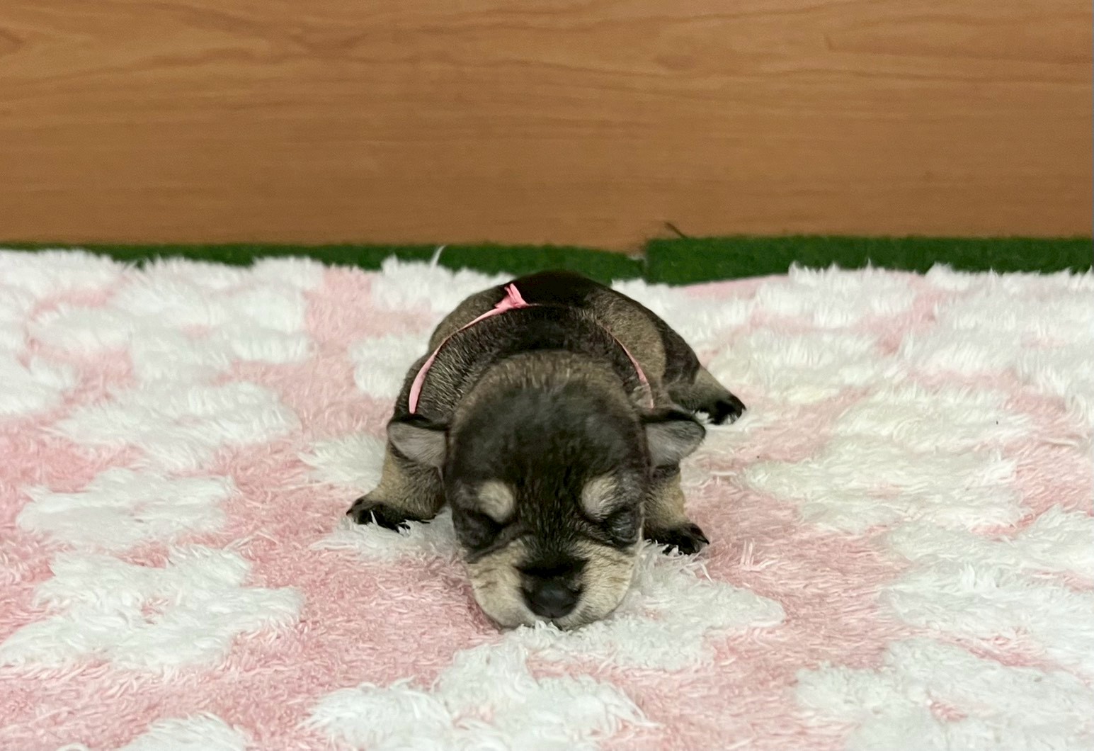 赤ちゃん写真1-1