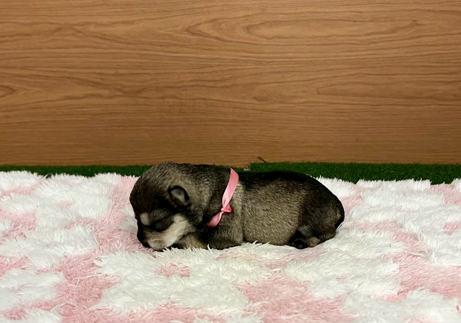 赤ちゃん写真1-2