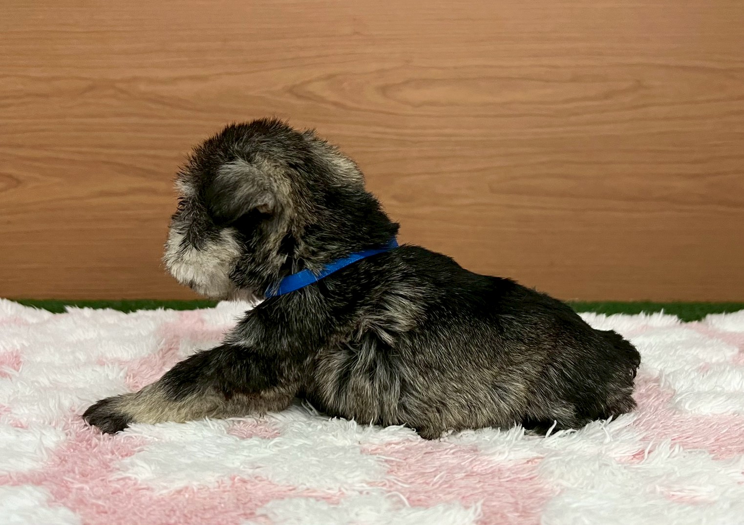 赤ちゃん写真2-2