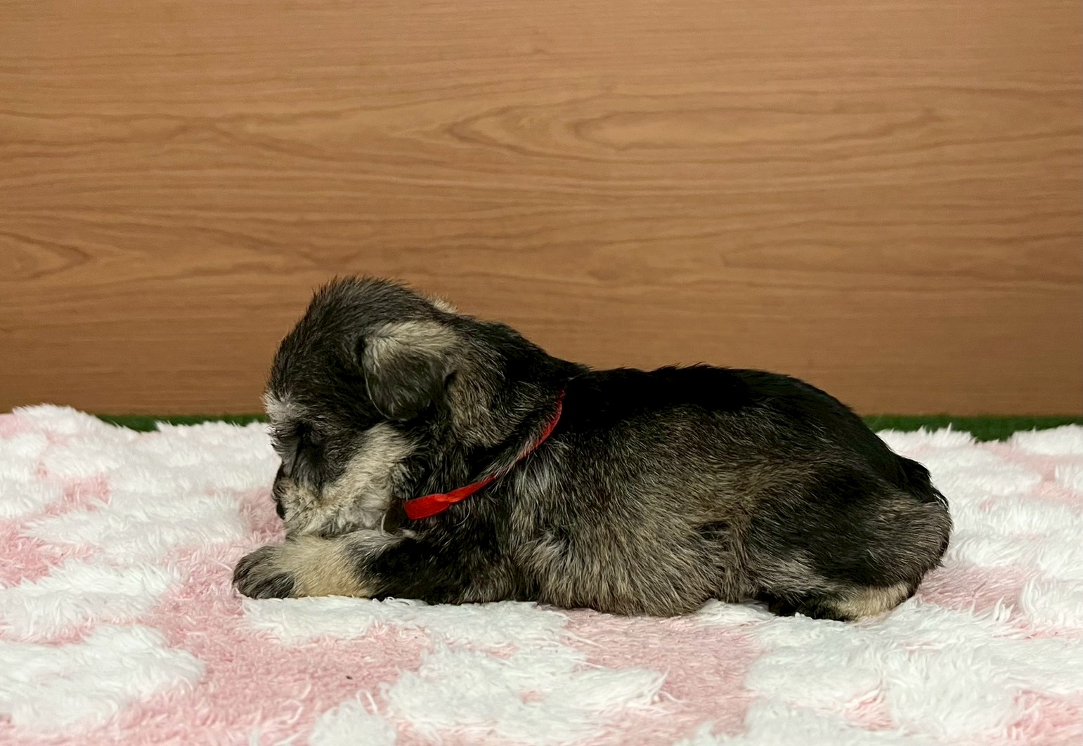 赤ちゃん写真2-2