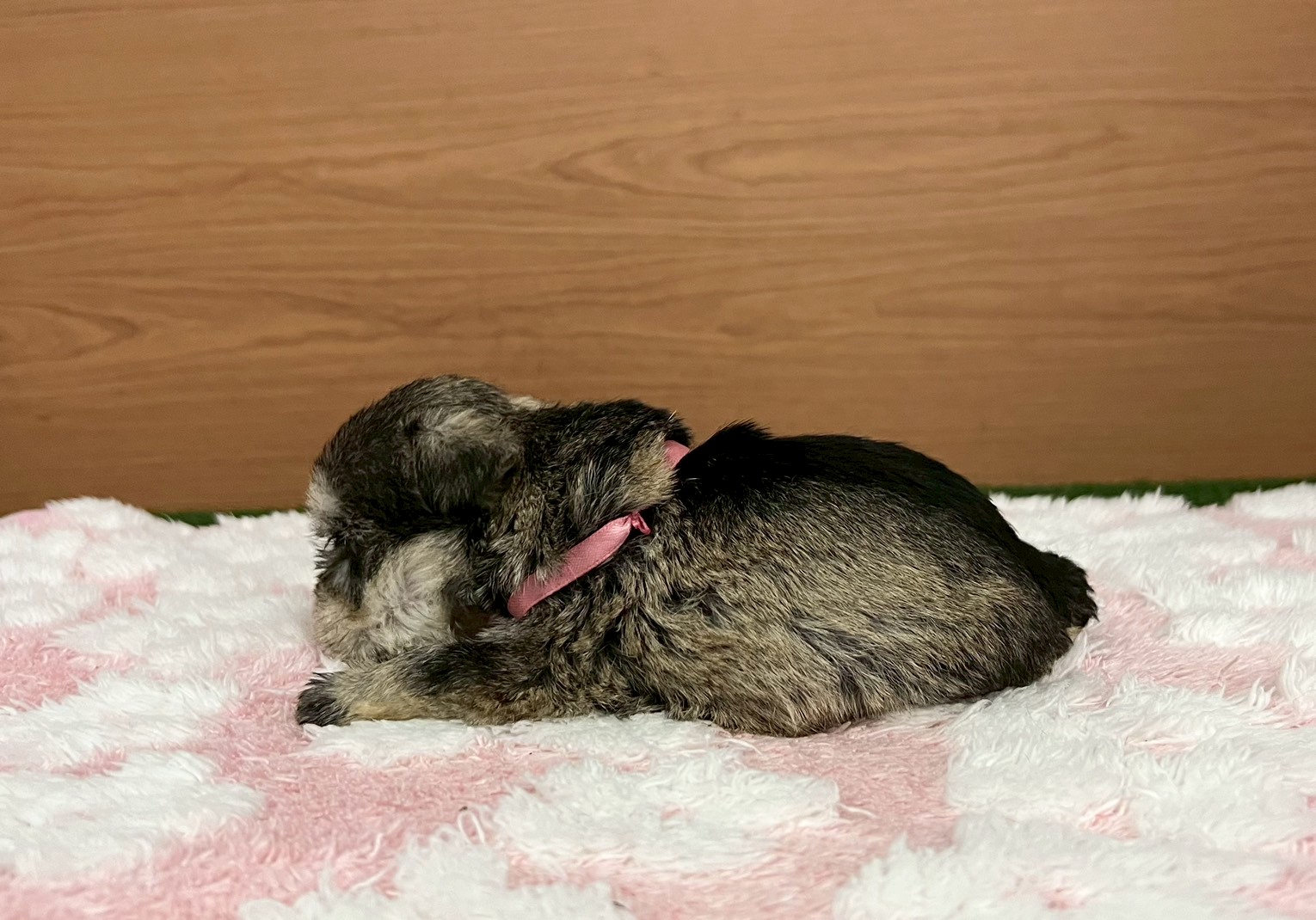 赤ちゃん写真2-2