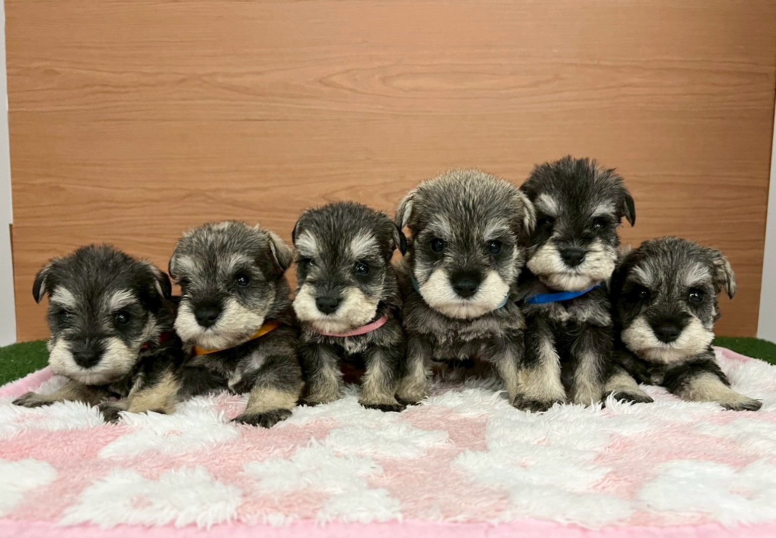 赤ちゃん写真2-3